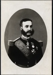 Retrato de Alfonso XII de España (1857-1885), Rey de España